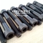 Boll&Kirch screw 2002155