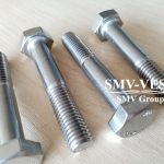 Wartsila L20 screw 191006